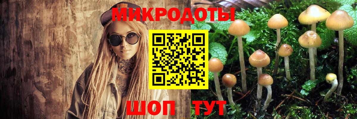 Галлюциногенные грибы Psilocybine cubensis  Вход с VPN  Псилоцибиновые грибы Magic Shrooms  Балтийск 